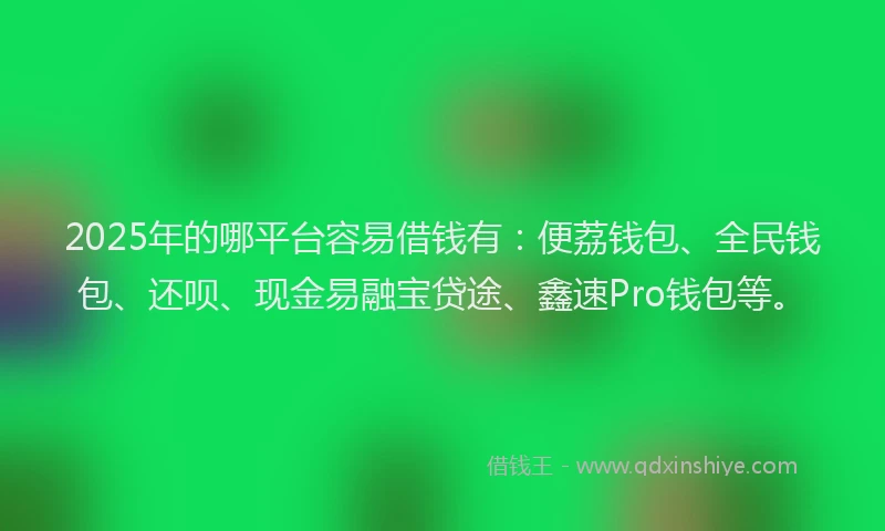 2025年的哪平台容易借钱有：便荔钱包、全民钱包、还呗、现金易融宝贷途、鑫速Pro钱包等。