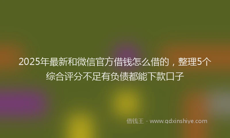 2025年最新和微信官方借钱怎么借的，整理5个综合评分不足有负债都能下款口子