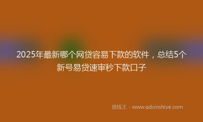 2025年最新哪个网贷容易下款的软件，总结5个新号易贷速审秒下款口子