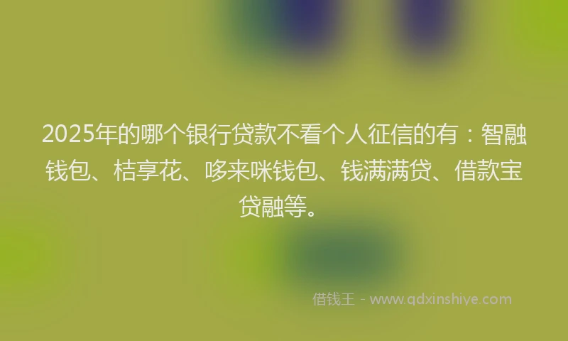 2025年的哪个银行贷款不看个人征信的有：智融钱包、桔享花、哆来咪钱包、钱满满贷、借款宝贷融等。