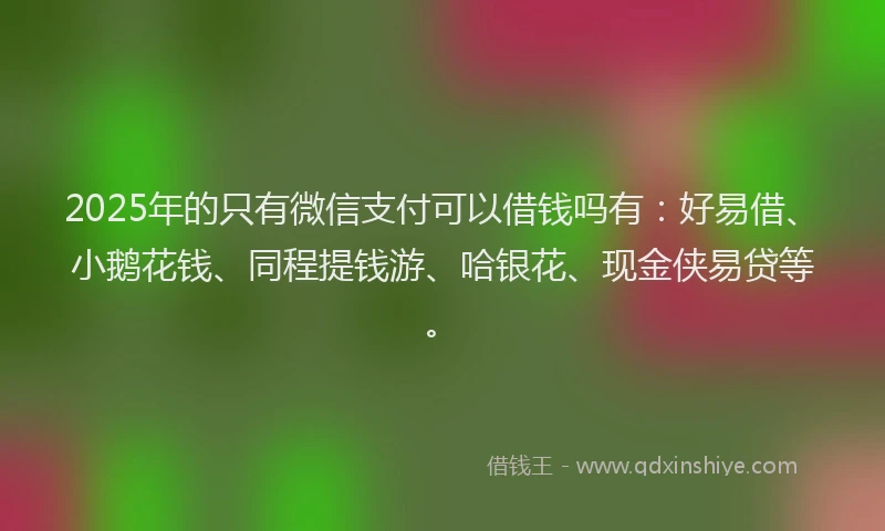 2025年的只有微信支付可以借钱吗有：好易借、小鹅花钱、同程提钱游、哈银花、现金侠易贷等。