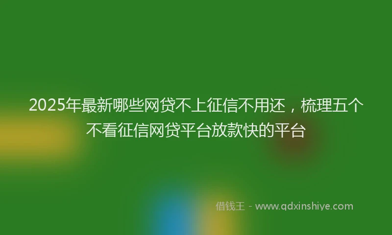 2025年最新哪些网贷不上征信不用还，梳理五个不看征信网贷平台放款快的平台