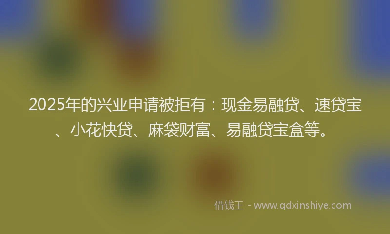 2025年的兴业申请被拒有：现金易融贷、速贷宝、小花快贷、麻袋财富、易融贷宝盒等。