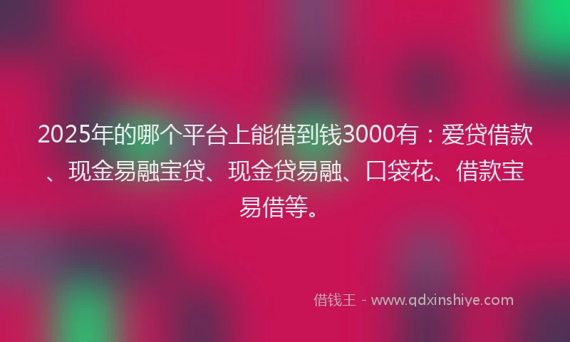 2025年的哪个平台上能借到钱3000有：爱贷借款、现金易融宝贷、现金贷易融、口袋花、借款宝易借等。