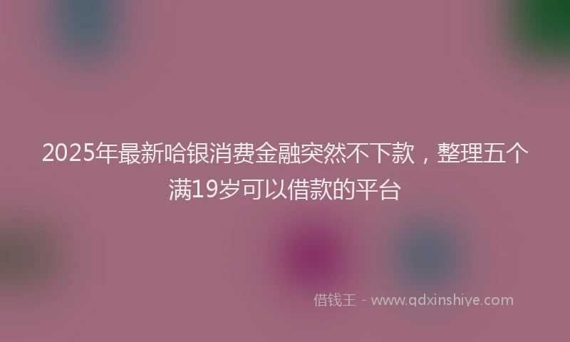 2025年最新哈银消费金融突然不下款，整理五个满19岁可以借款的平台