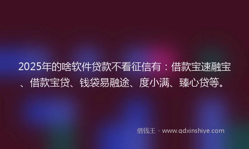 2025年的啥软件贷款不看征信有：借款宝速融宝、借款宝贷、钱袋易融途、度小满、臻心贷等。