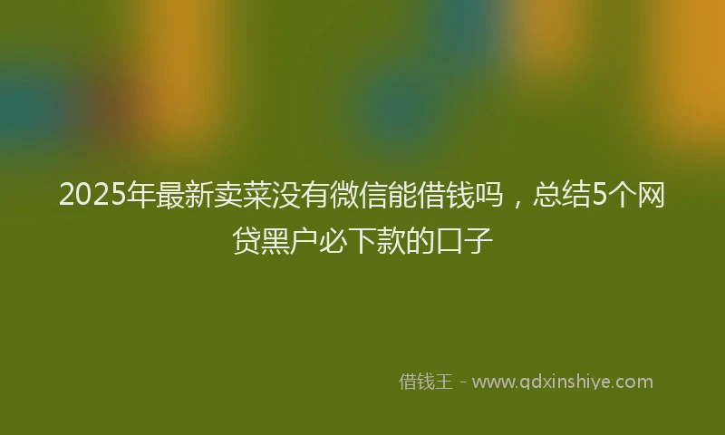 2025年最新卖菜没有微信能借钱吗，总结5个网贷黑户必下款的口子