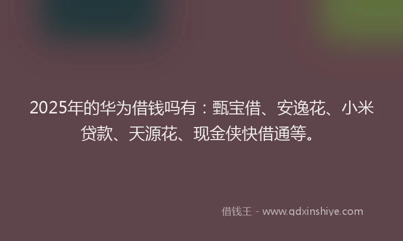2025年的华为借钱吗有：甄宝借、安逸花、小米贷款、天源花、现金侠快借通等。