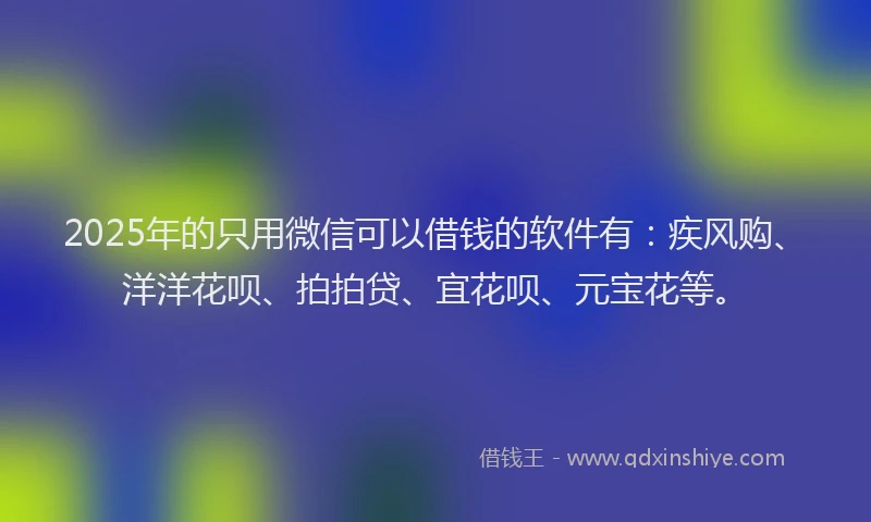 2025年的只用微信可以借钱的软件有：疾风购、洋洋花呗、拍拍贷、宜花呗、元宝花等。