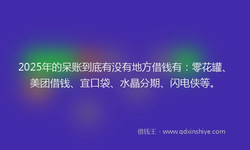 2025年的呆账到底有没有地方借钱有：零花罐、美团借钱、宜口袋、水晶分期、闪电侠等。