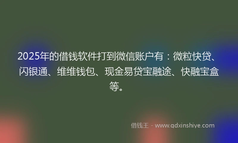 2025年的借钱软件打到微信账户有：微粒快贷、闪银通、维维钱包、现金易贷宝融途、快融宝盒等。
