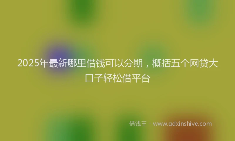 2025年最新哪里借钱可以分期，概括五个网贷大口子轻松借平台