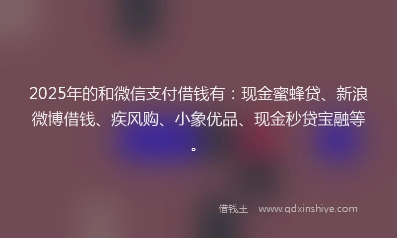 2025年的和微信支付借钱有：现金蜜蜂贷、新浪微博借钱、疾风购、小象优品、现金秒贷宝融等。