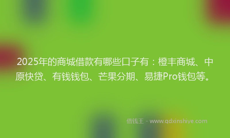 2025年的商城借款有哪些口子有：橙丰商城、中原快贷、有钱钱包、芒果分期、易捷Pro钱包等。