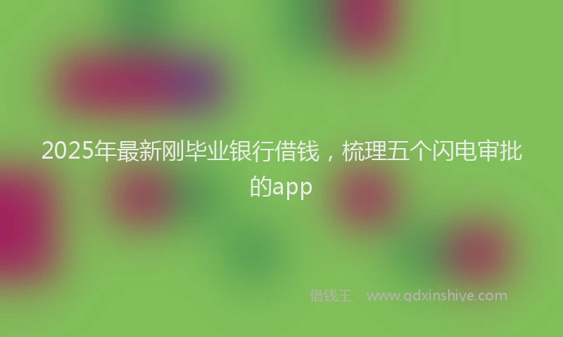 2025年最新刚毕业银行借钱，梳理五个闪电审批的app