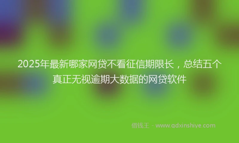 2025年最新哪家网贷不看征信期限长，总结五个真正无视逾期大数据的网贷软件