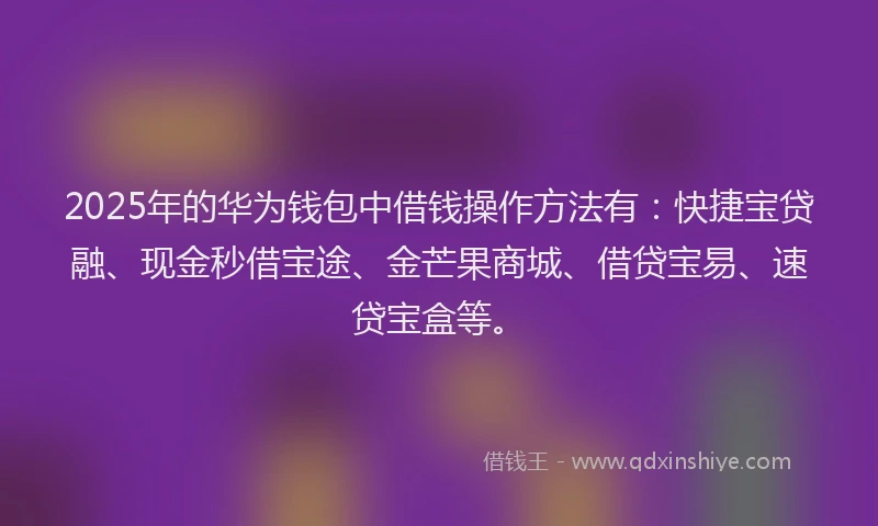 2025年的华为钱包中借钱操作方法有：快捷宝贷融、现金秒借宝途、金芒果商城、借贷宝易、速贷宝盒等。