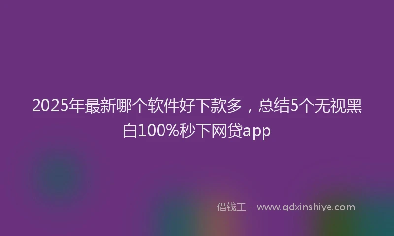 2025年最新哪个软件好下款多，总结5个无视黑白100%秒下网贷app