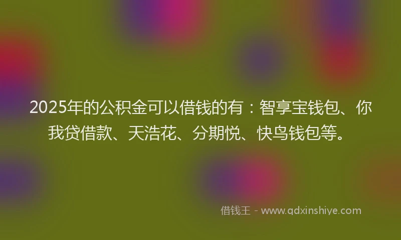 2025年的公积金可以借钱的有：智享宝钱包、你我贷借款、天浩花、分期悦、快鸟钱包等。