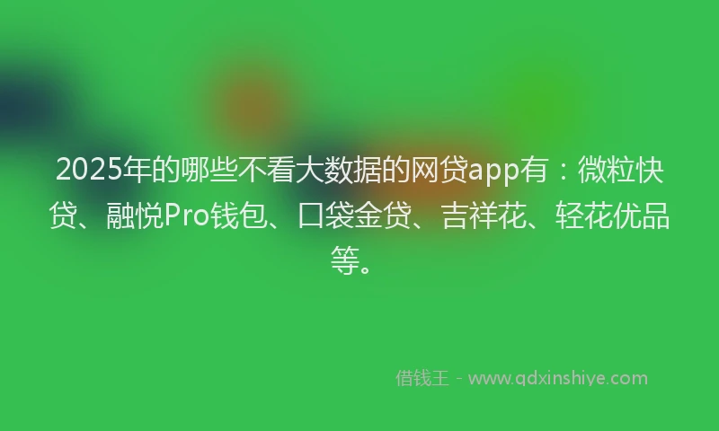 2025年的哪些不看大数据的网贷app有：微粒快贷、融悦Pro钱包、口袋金贷、吉祥花、轻花优品等。