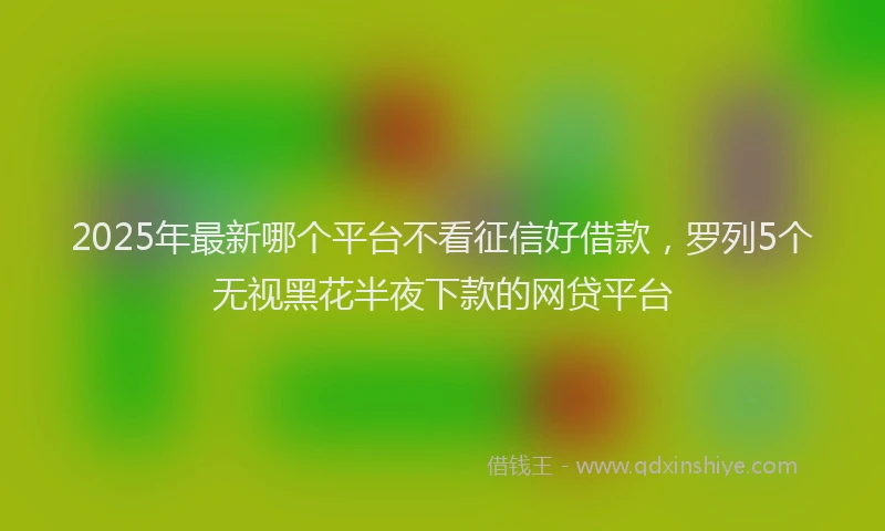 2025年最新哪个平台不看征信好借款，罗列5个无视黑花半夜下款的网贷平台