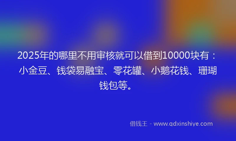 2025年的哪里不用审核就可以借到10000块有：小金豆、钱袋易融宝、零花罐、小鹅花钱、珊瑚钱包等。