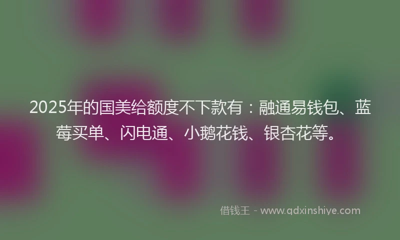 2025年的国美给额度不下款有：融通易钱包、蓝莓买单、闪电通、小鹅花钱、银杏花等。