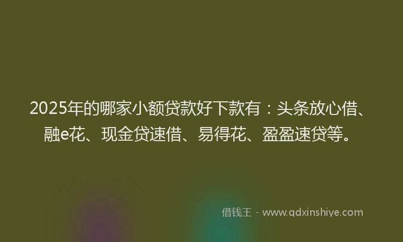 2025年的哪家小额贷款好下款有：头条放心借、融e花、现金贷速借、易得花、盈盈速贷等。