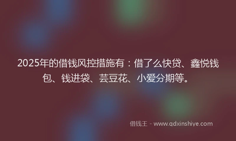 2025年的借钱风控措施有：借了么快贷、鑫悦钱包、钱进袋、芸豆花、小爱分期等。