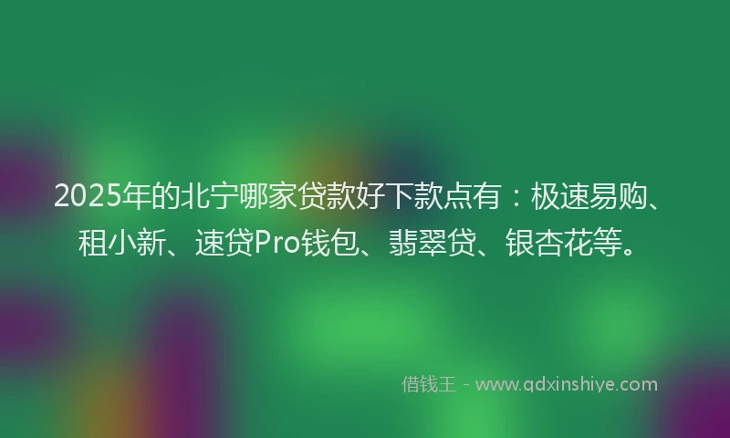 2025年的北宁哪家贷款好下款点有：极速易购、租小新、速贷Pro钱包、翡翠贷、银杏花等。