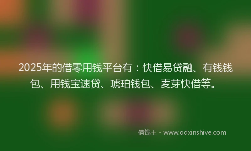 2025年的借零用钱平台有：快借易贷融、有钱钱包、用钱宝速贷、琥珀钱包、麦芽快借等。