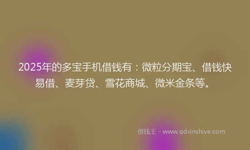 2025年的多宝手机借钱有：微粒分期宝、借钱快易借、麦芽贷、雪花商城、微米金条等。