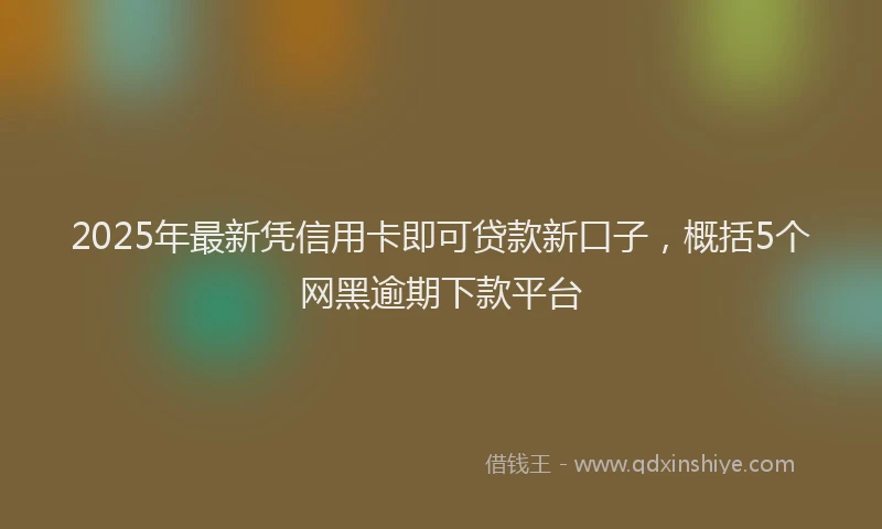 2025年最新凭信用卡即可贷款新口子，概括5个网黑逾期下款平台
