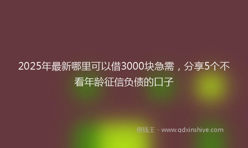 2025年最新哪里可以借3000块急需，分享5个不看年龄征信负债的口子