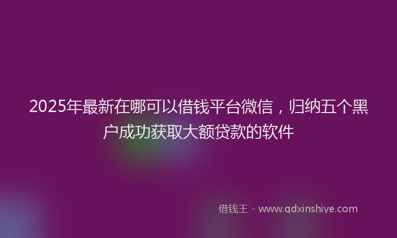 2025年最新在哪可以借钱平台微信，归纳五个黑户成功获取大额贷款的软件