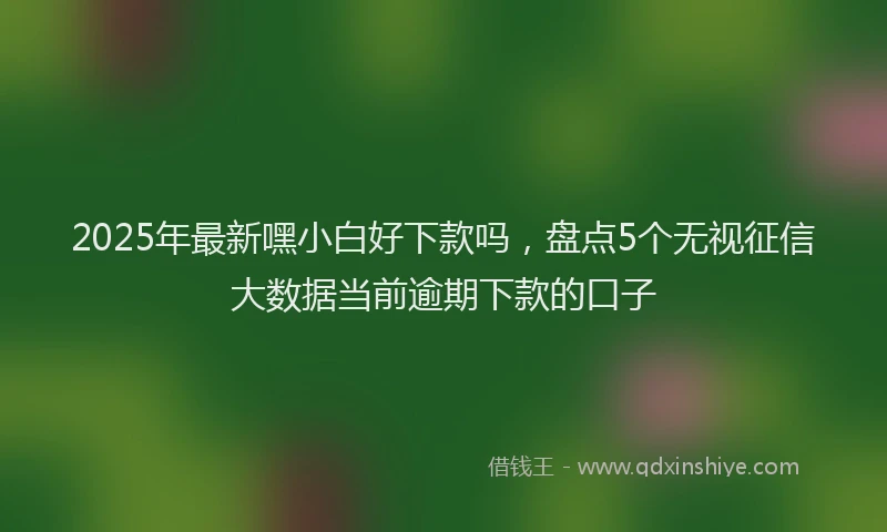 2025年最新嘿小白好下款吗，盘点5个无视征信大数据当前逾期下款的口子