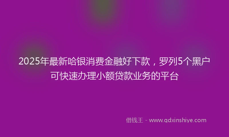 2025年最新哈银消费金融好下款，罗列5个黑户可快速办理小额贷款业务的平台