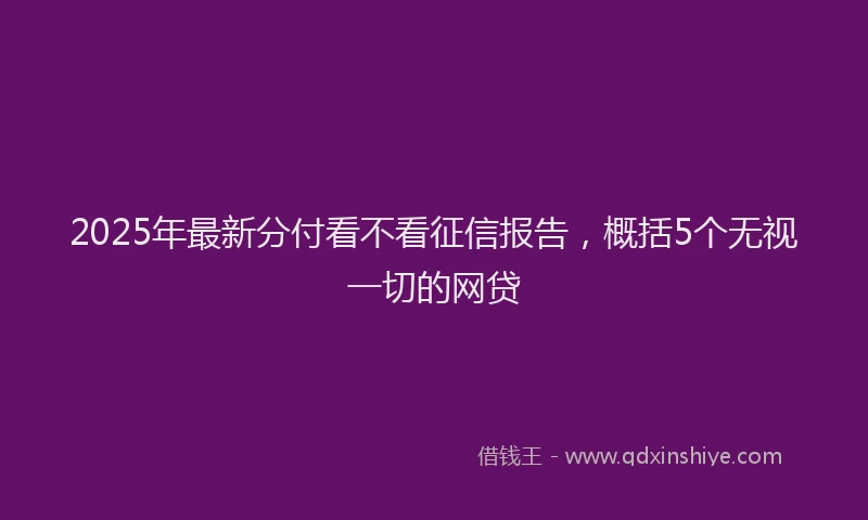 2025年最新分付看不看征信报告，概括5个无视一切的网贷