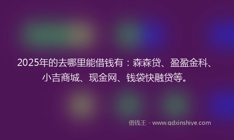 2025年的去哪里能借钱有：森森贷、盈盈金科、小吉商城、现金网、钱袋快融贷等。