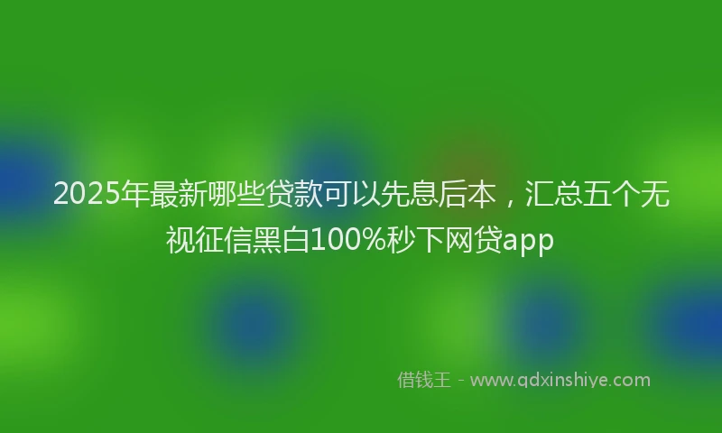 2025年最新哪些贷款可以先息后本，汇总五个无视征信黑白100%秒下网贷app