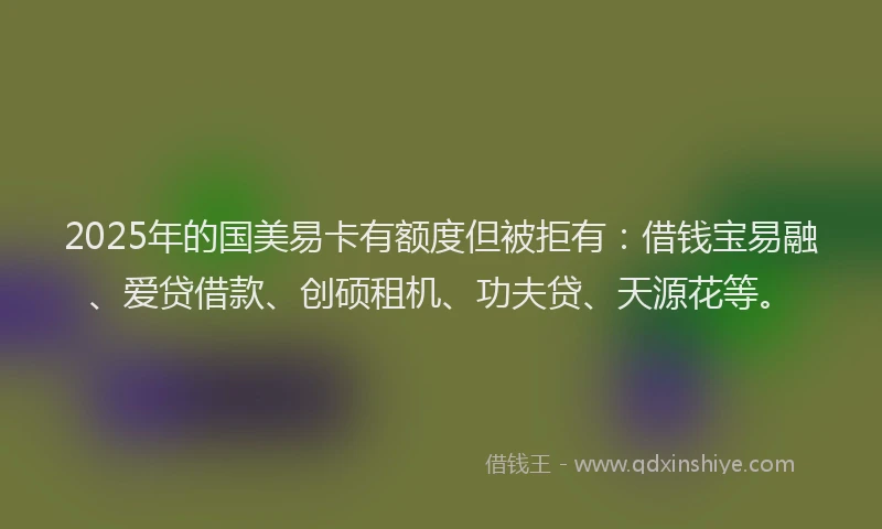 2025年的国美易卡有额度但被拒有：借钱宝易融、爱贷借款、创硕租机、功夫贷、天源花等。