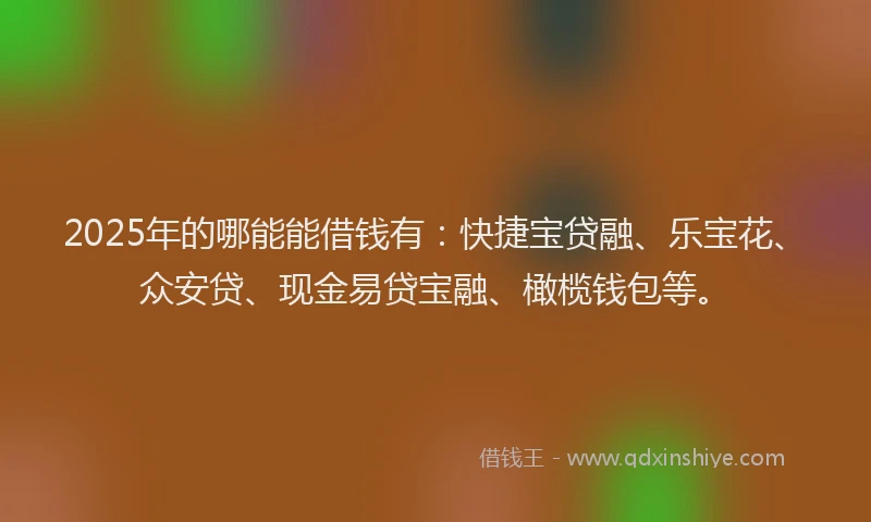 2025年的哪能能借钱有：快捷宝贷融、乐宝花、众安贷、现金易贷宝融、橄榄钱包等。
