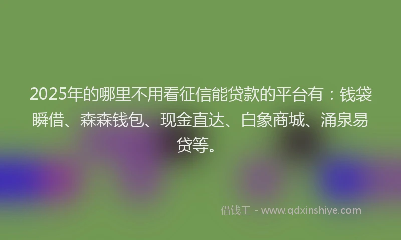 2025年的哪里不用看征信能贷款的平台有：钱袋瞬借、森森钱包、现金直达、白象商城、涌泉易贷等。