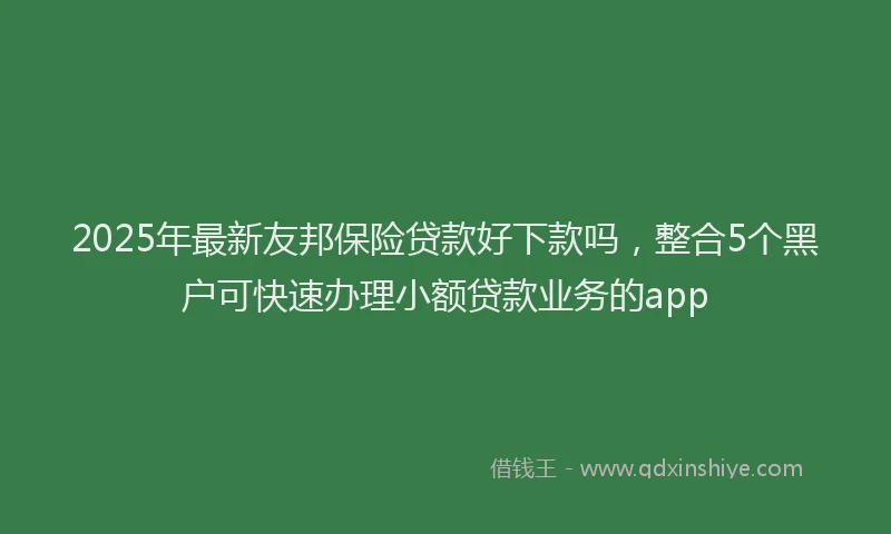 2025年最新友邦保险贷款好下款吗，整合5个黑户可快速办理小额贷款业务的app