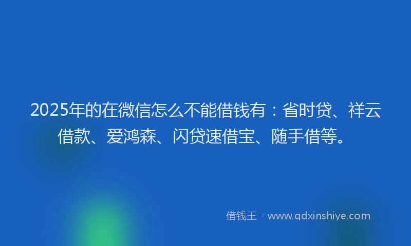 2025年的在微信怎么不能借钱有：省时贷、祥云借款、爱鸿森、闪贷速借宝、随手借等。