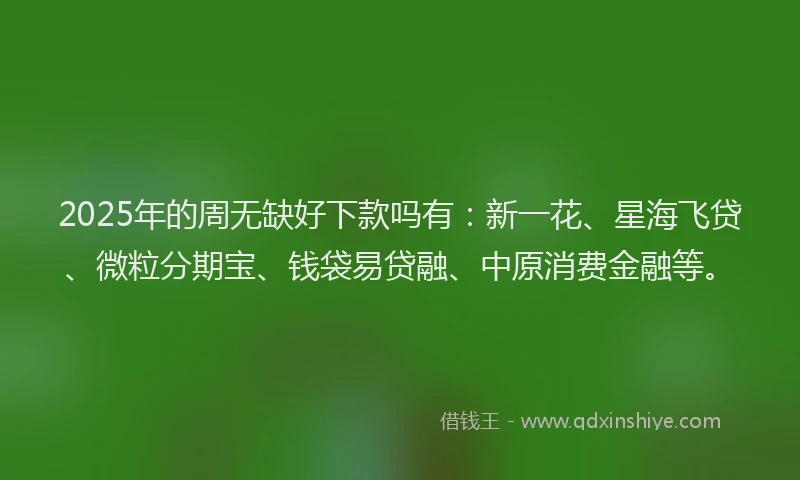 2025年的周无缺好下款吗有：新一花、星海飞贷、微粒分期宝、钱袋易贷融、中原消费金融等。