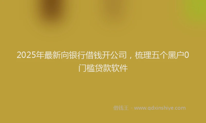2025年最新向银行借钱开公司，梳理五个黑户0门槛贷款软件