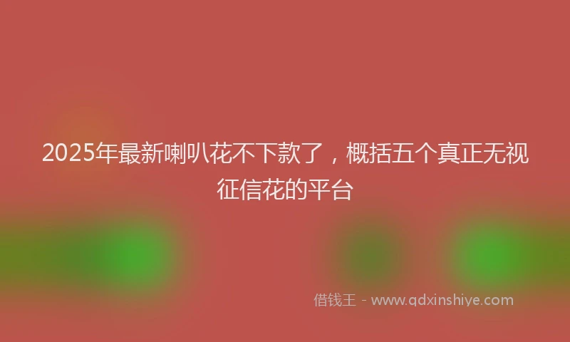 2025年最新喇叭花不下款了，概括五个真正无视征信花的平台