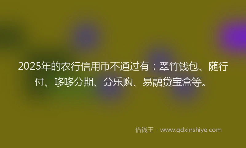 2025年的农行信用币不通过有：翠竹钱包、随行付、哆哆分期、分乐购、易融贷宝盒等。