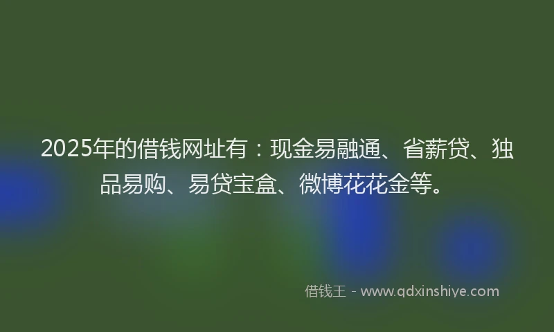 2025年的借钱网址有：现金易融通、省薪贷、独品易购、易贷宝盒、微博花花金等。